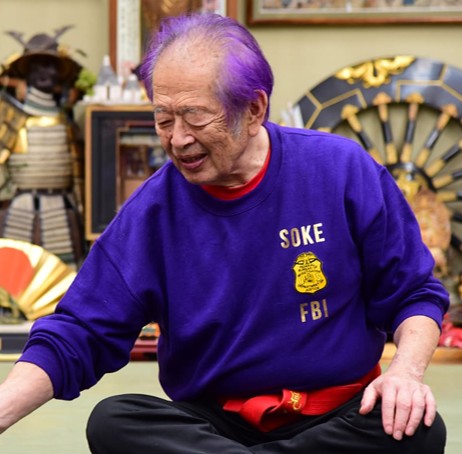 Bujinkan Budo Taijutsu